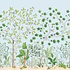 Обои Sanderson Arboretum DABW217212