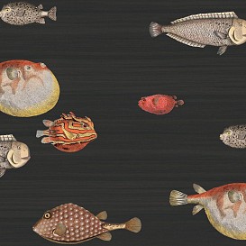 Обои Cole&Son Fornasetti Senza Tempo 97-10048