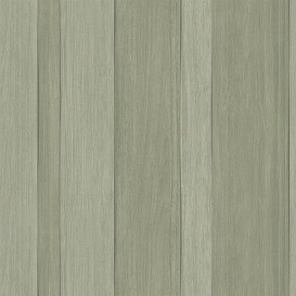 Обои Carl Robinson Edition 18 CL20804