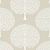 Обои Thibaut Ceylon T10601