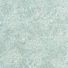Обои Christian Lacroix The Edit Plains and Textures II PDG640-13