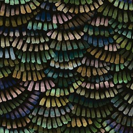 Обои Arte Memento Moooi MO4022