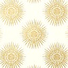 Обои Thibaut Graphic Resource T35143