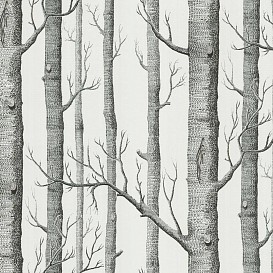 Обои Cole&Son Contemporary Restyled 69-12147