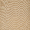 Обои Dedar Amoir Fou Wall 02D2080600001