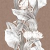 Обои Coordonne Maasai YSP0223