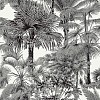 Обои Thibaut Tropics T10102