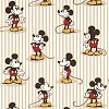 Обои Sanderson Disney Home DDIW217273