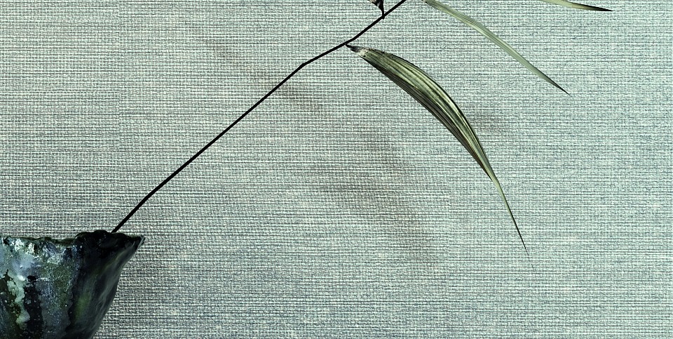 Cocoon