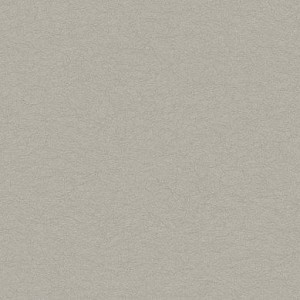 Vinyl Wallpaper