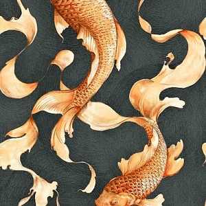 Koi