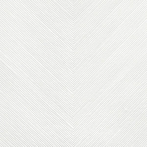 Edition 20