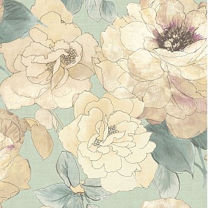 Pashmina
