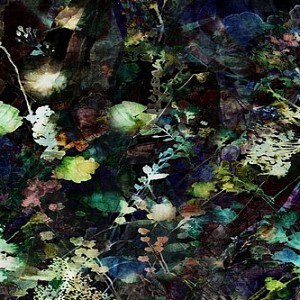 Collection VIII