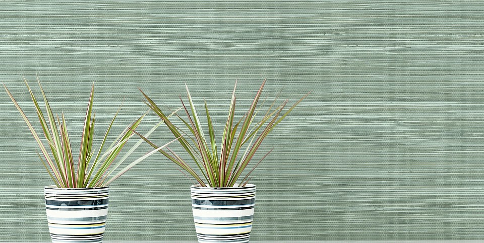 Grass Resource